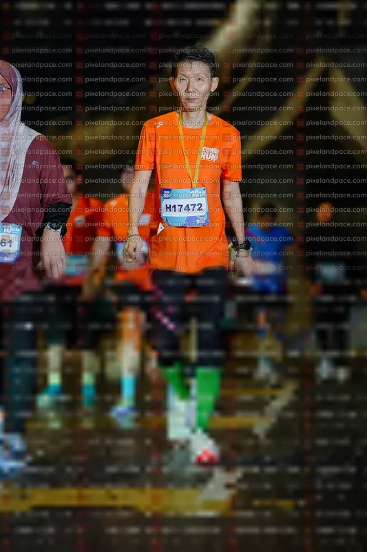 Photo ID 7795519