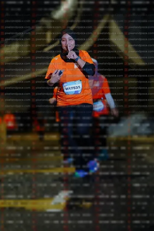 Photo ID 7795820
