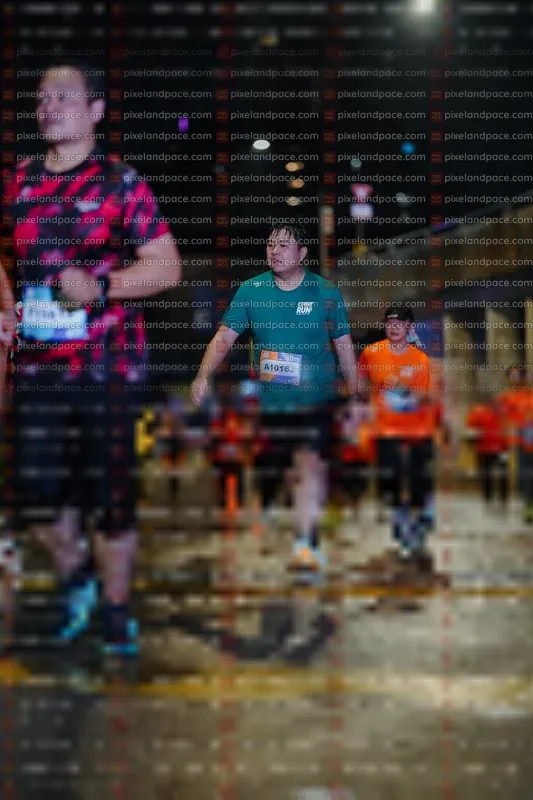 Photo ID 7799134
