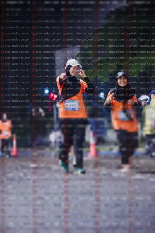 Photo ID 7858372