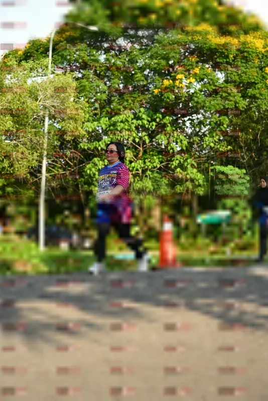 Photo ID 8022075