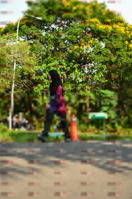Photo ID 8022093