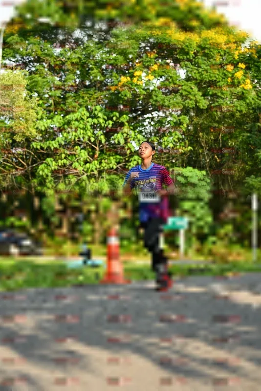Photo ID 8022324