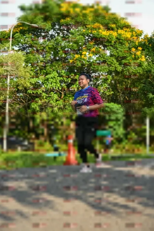 Photo ID 8022332