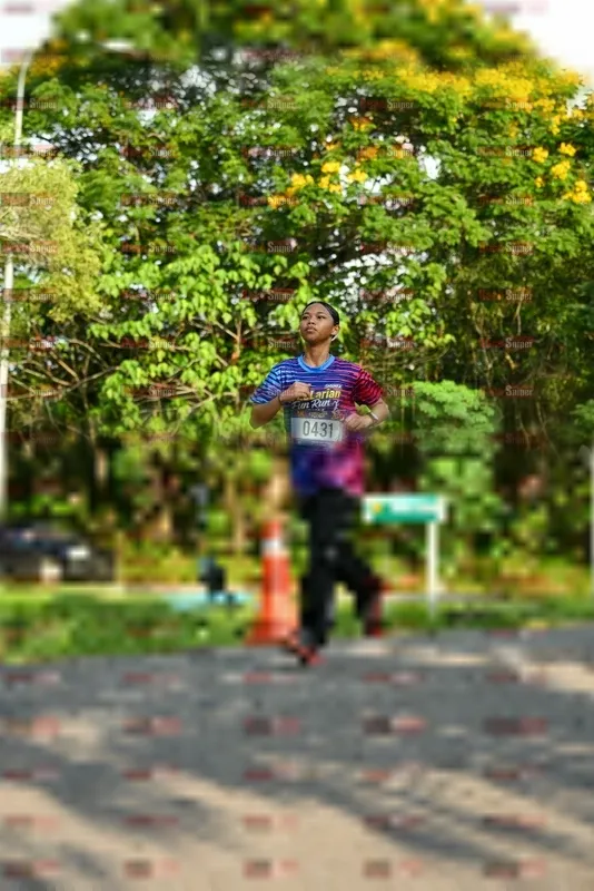 Photo ID 8022337