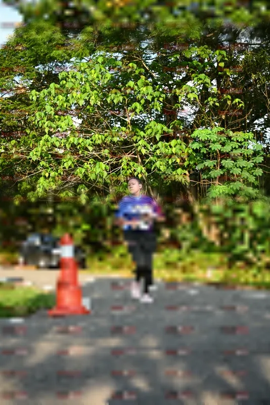 Photo ID 8023634