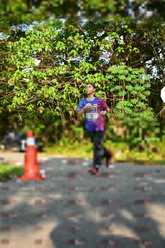 Photo ID 8023638
