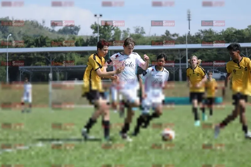 Photo ID 8102135
