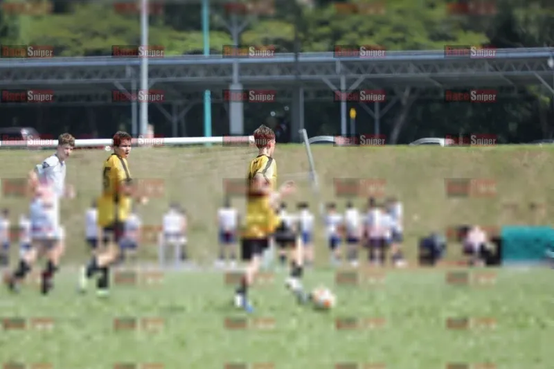 Photo ID 8102138