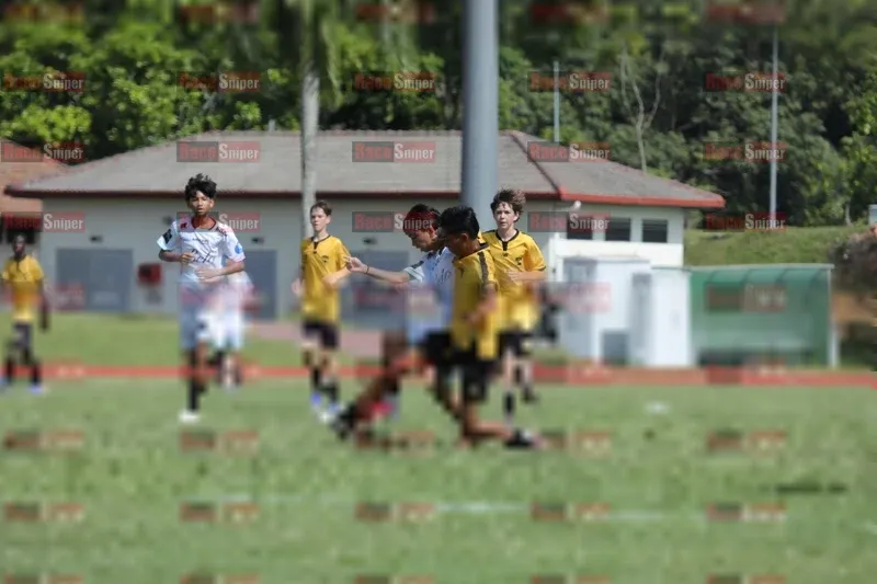Photo ID 8102188