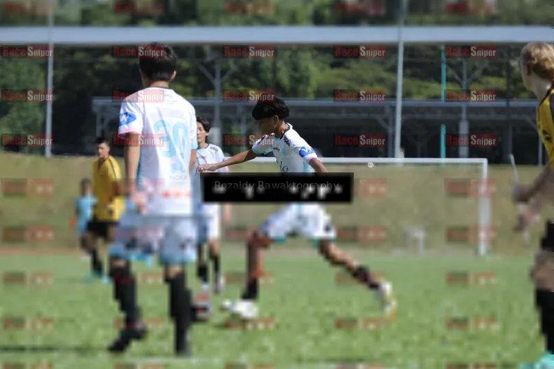 Photo ID 8102199