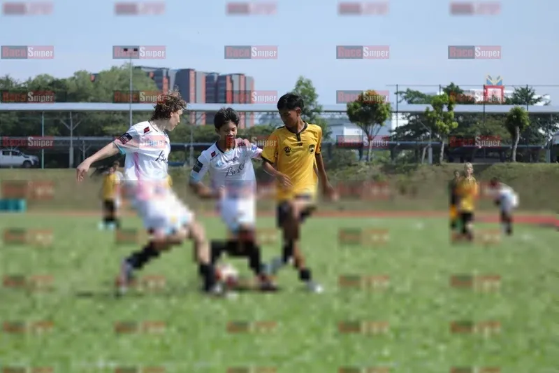 Photo ID 8102240