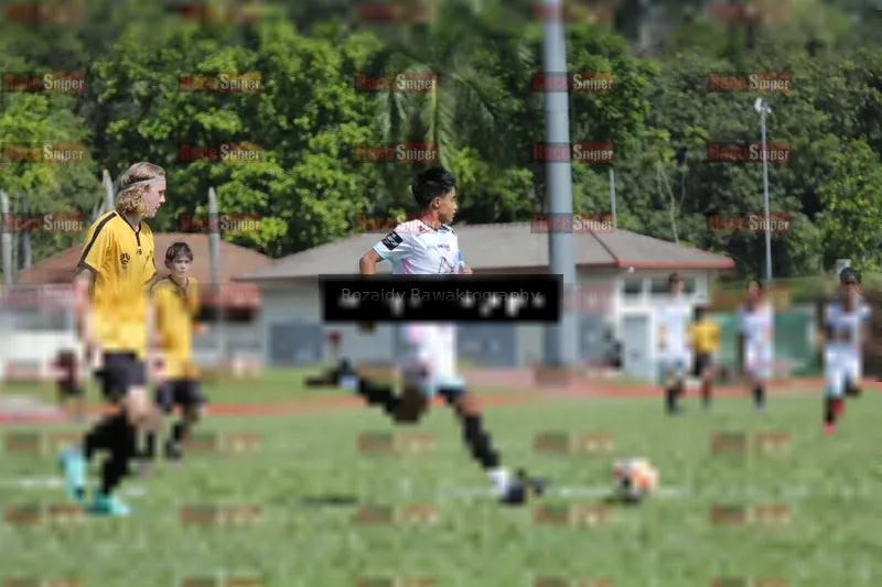 Photo ID 8102294
