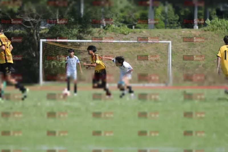 Photo ID 8102296