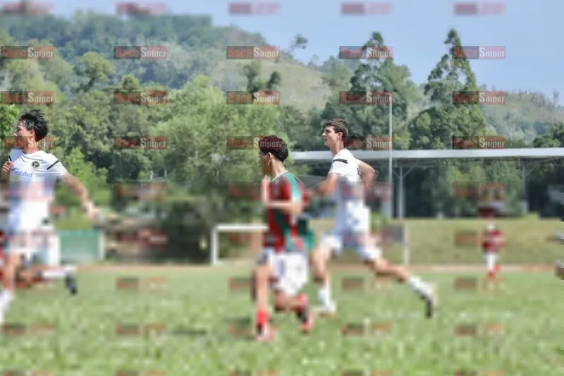 Photo ID 8106210