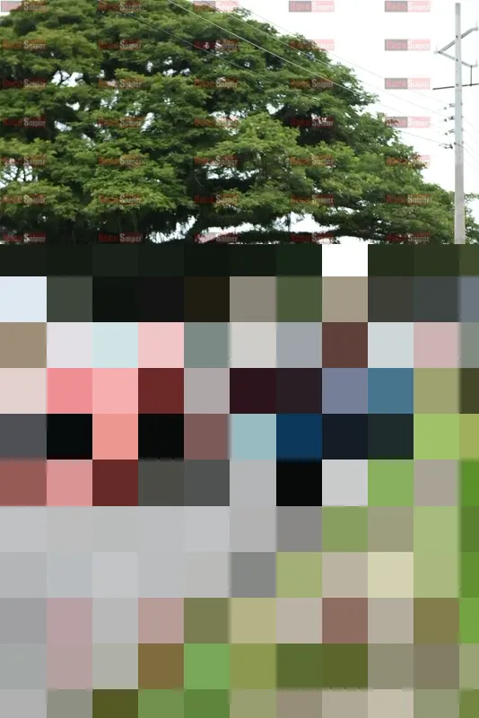 Photo ID 8110882