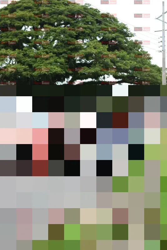 Photo ID 8110892