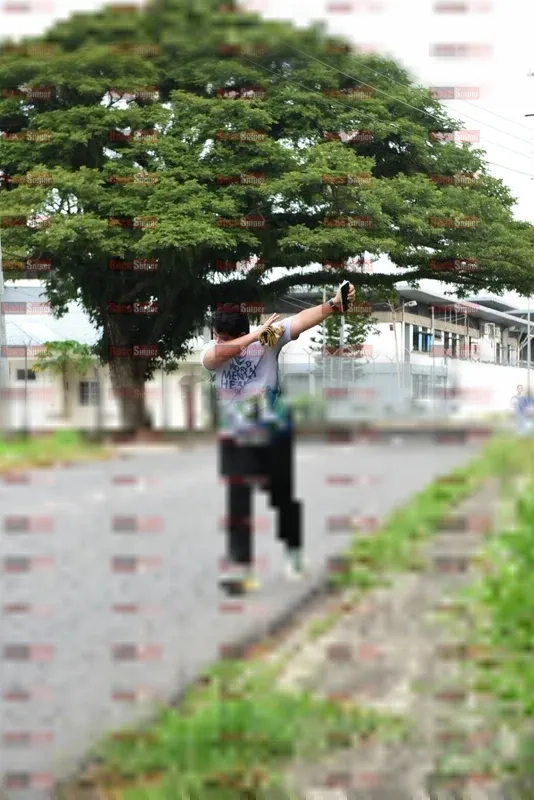 Photo ID 8111113
