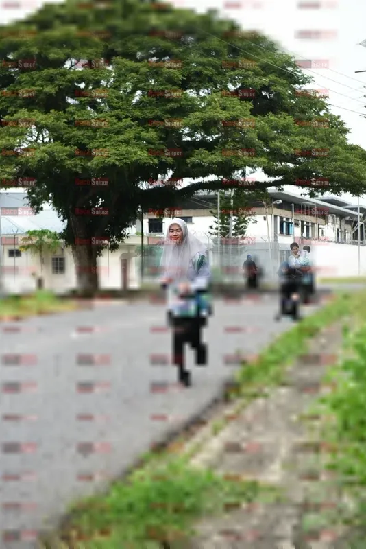 Photo ID 8111139