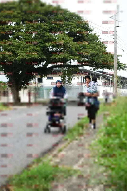 Photo ID 8111149
