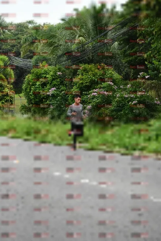 Photo ID 8111648