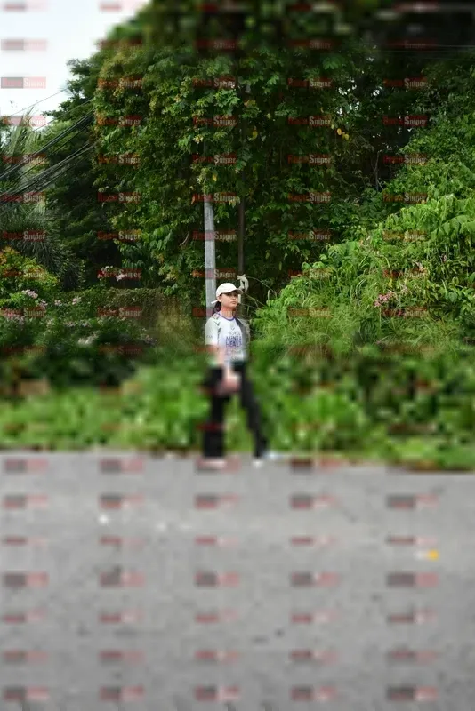 Photo ID 8112243