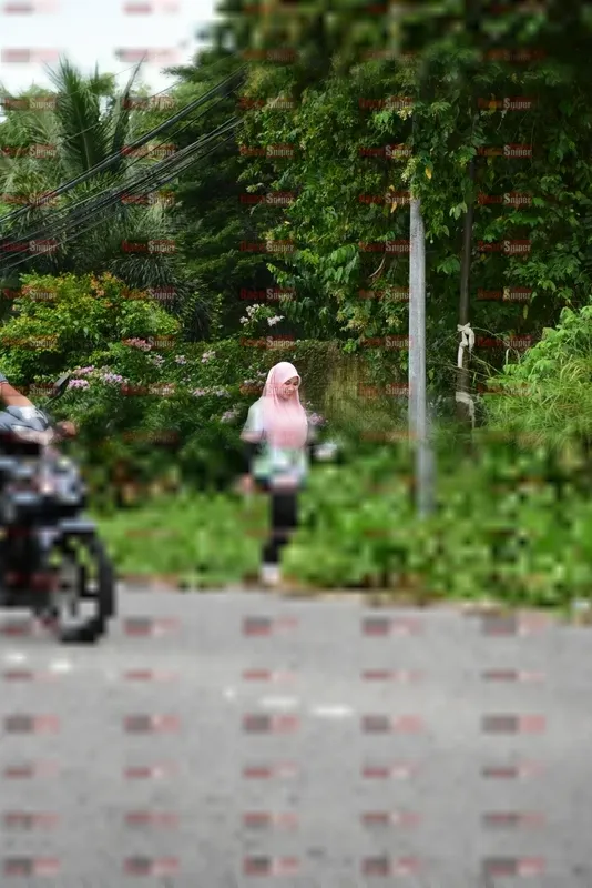Photo ID 8112315