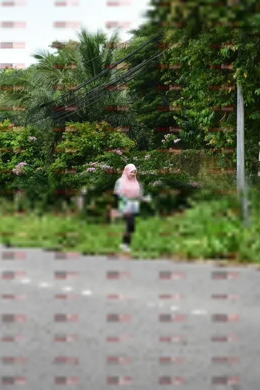 Photo ID 8112316