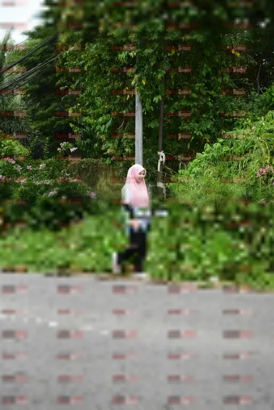 Photo ID 8112319