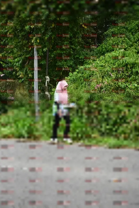 Photo ID 8112321
