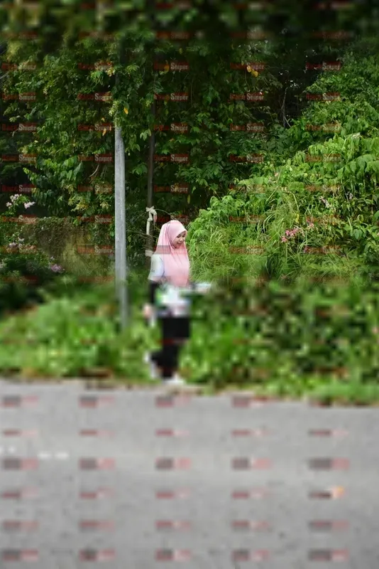 Photo ID 8112322