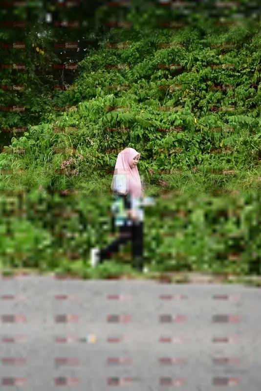 Photo ID 8112328