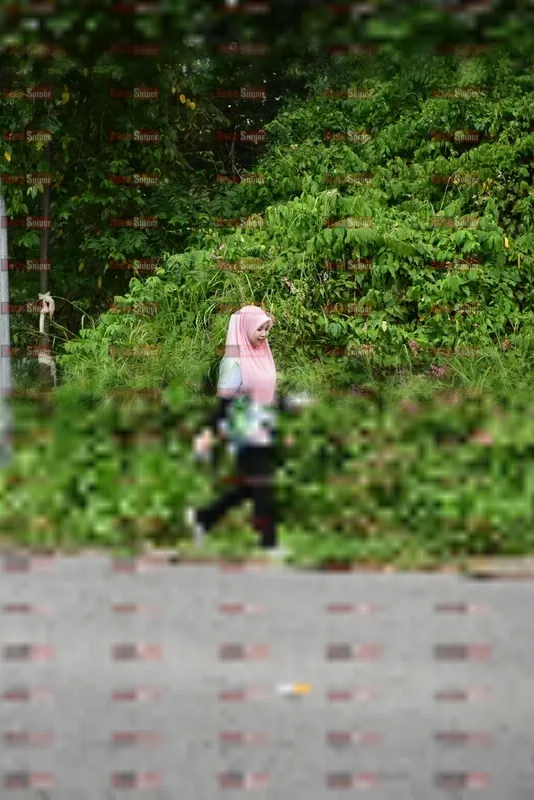 Photo ID 8112334