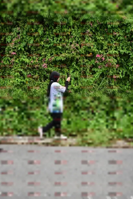 Photo ID 8112545