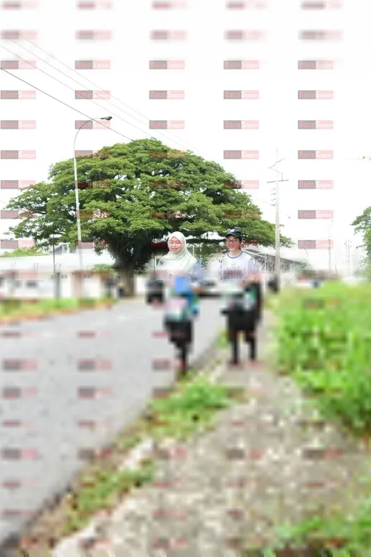 Photo ID 8112828