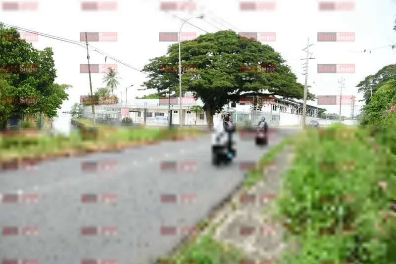 Photo ID 8112998