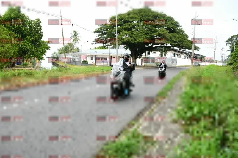 Photo ID 8113003