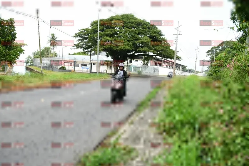 Photo ID 8113009