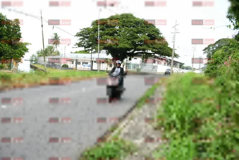 Photo ID 8113011