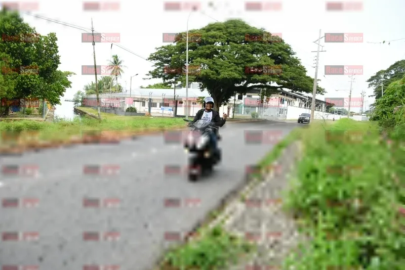 Photo ID 8113015