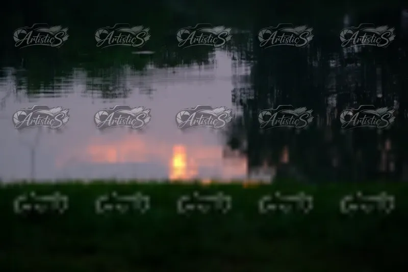 Photo ID 8125102