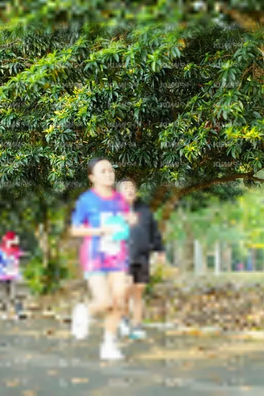 Photo ID 8144368