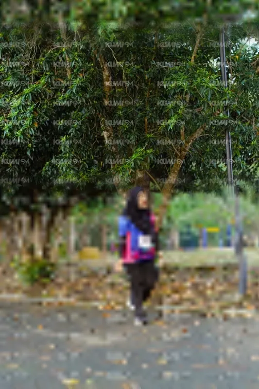 Photo ID 8145012