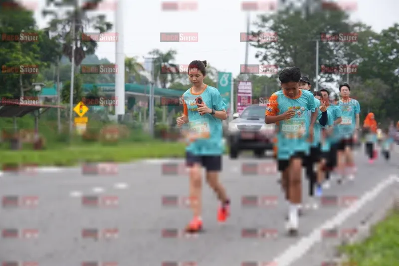 Photo ID 8158693