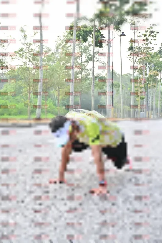 Photo ID 8171203