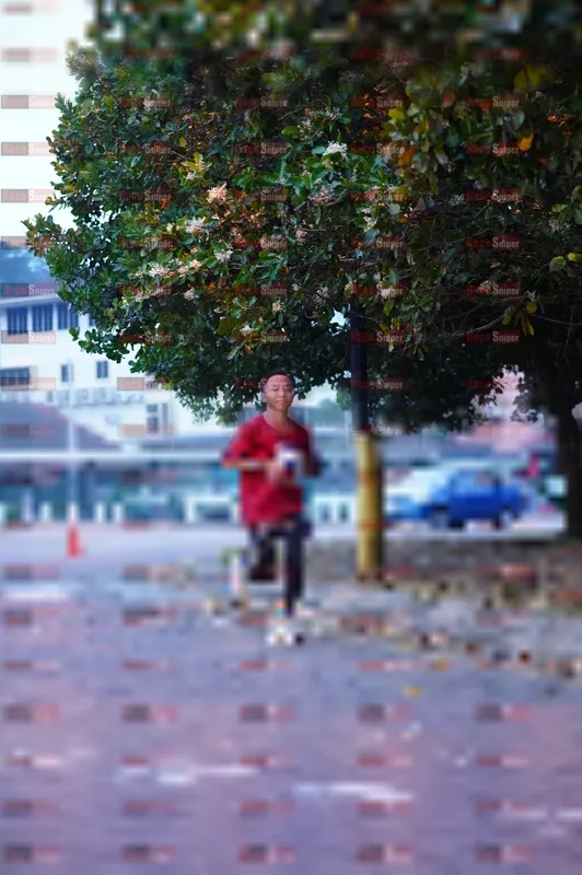 Photo ID 8189692