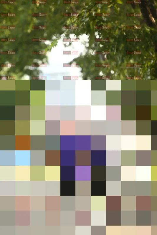 Photo ID 8201303
