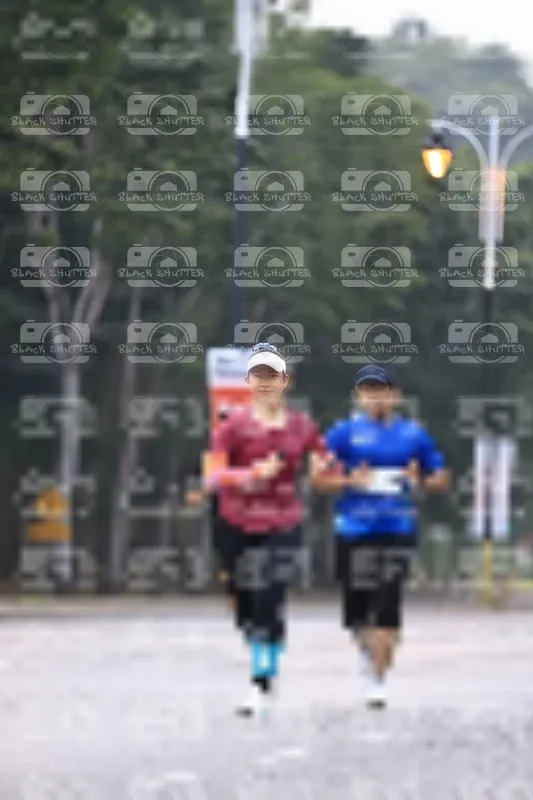 Photo ID 8229215