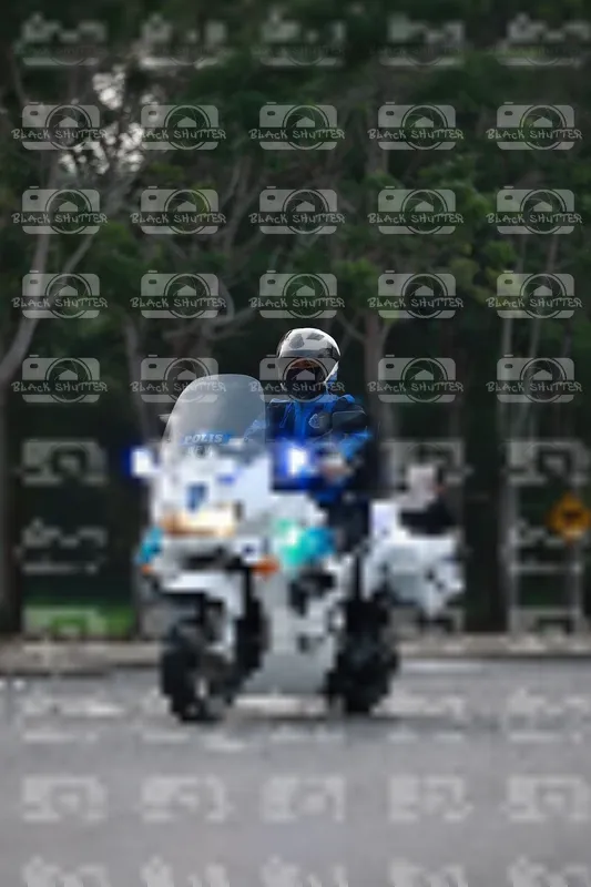Photo ID 8238603