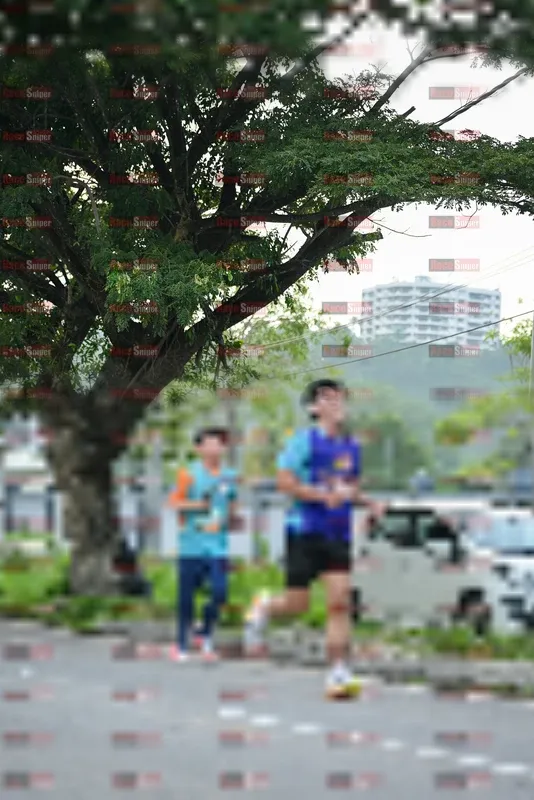 Photo ID 8242112